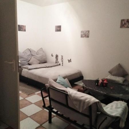 Studiowohnung, Neu Renoviert, Zentrale Lage ザールルイ エクステリア 写真