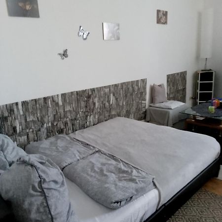Studiowohnung, Neu Renoviert, Zentrale Lage ザールルイ エクステリア 写真