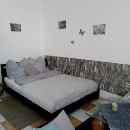Studiowohnung, Neu Renoviert, Zentrale Lage ザールルイ エクステリア 写真
