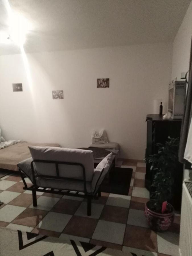 Studiowohnung, Neu Renoviert, Zentrale Lage ザールルイ エクステリア 写真