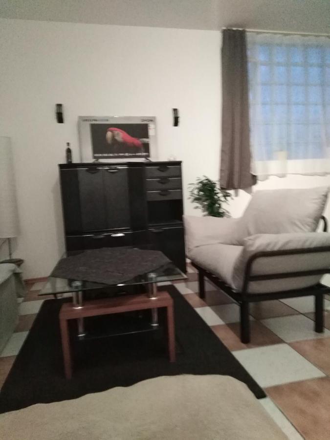 Studiowohnung, Neu Renoviert, Zentrale Lage ザールルイ エクステリア 写真
