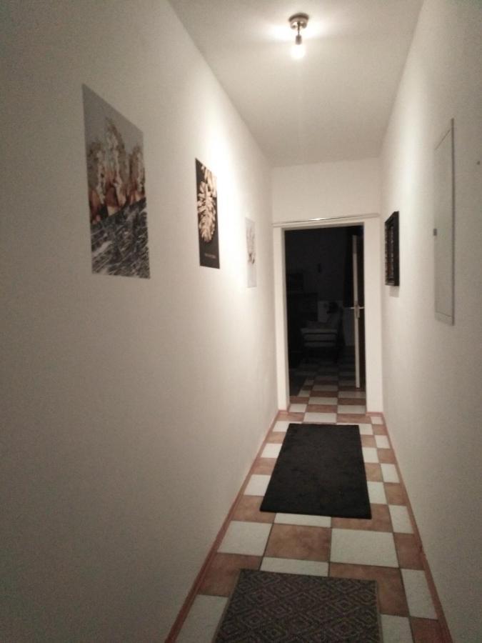 Studiowohnung, Neu Renoviert, Zentrale Lage ザールルイ エクステリア 写真