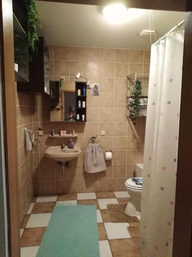 Studiowohnung, Neu Renoviert, Zentrale Lage ザールルイ エクステリア 写真