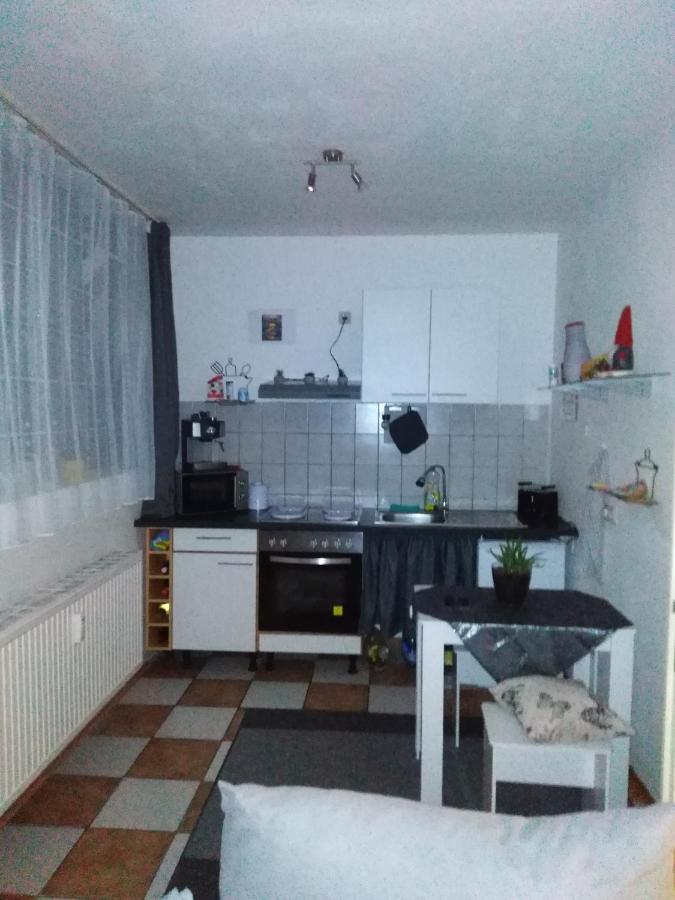 Studiowohnung, Neu Renoviert, Zentrale Lage ザールルイ エクステリア 写真