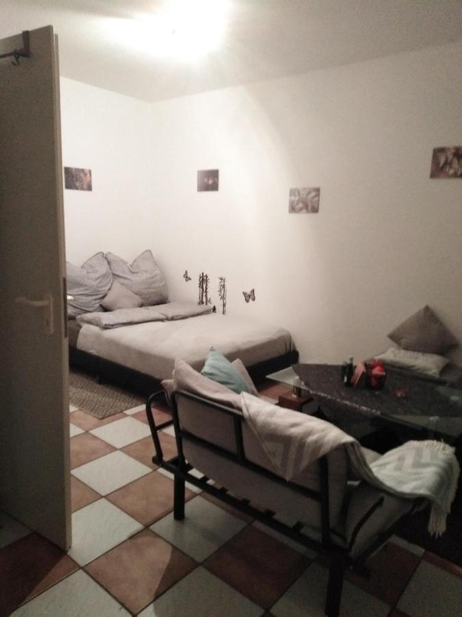 Studiowohnung, Neu Renoviert, Zentrale Lage ザールルイ エクステリア 写真