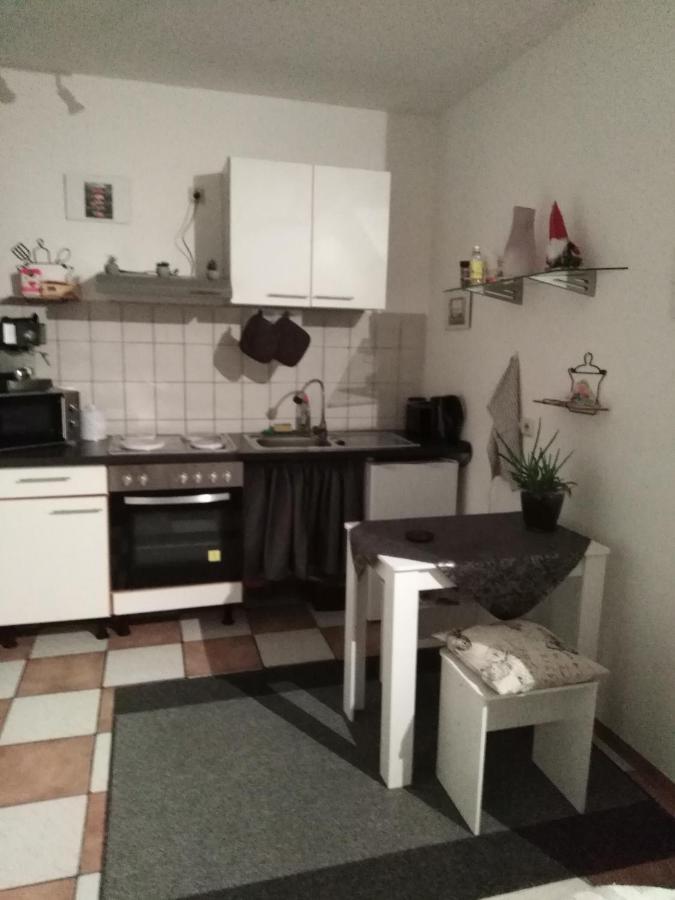 Studiowohnung, Neu Renoviert, Zentrale Lage ザールルイ エクステリア 写真