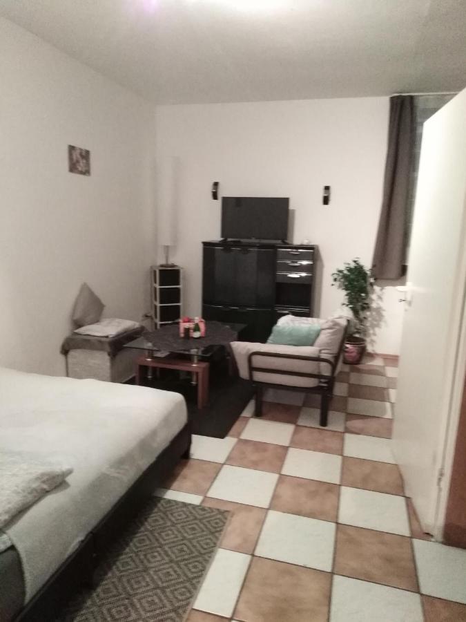 Studiowohnung, Neu Renoviert, Zentrale Lage ザールルイ エクステリア 写真