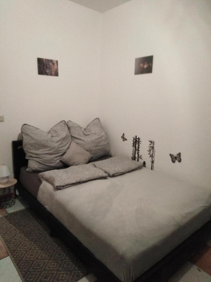 Studiowohnung, Neu Renoviert, Zentrale Lage ザールルイ エクステリア 写真