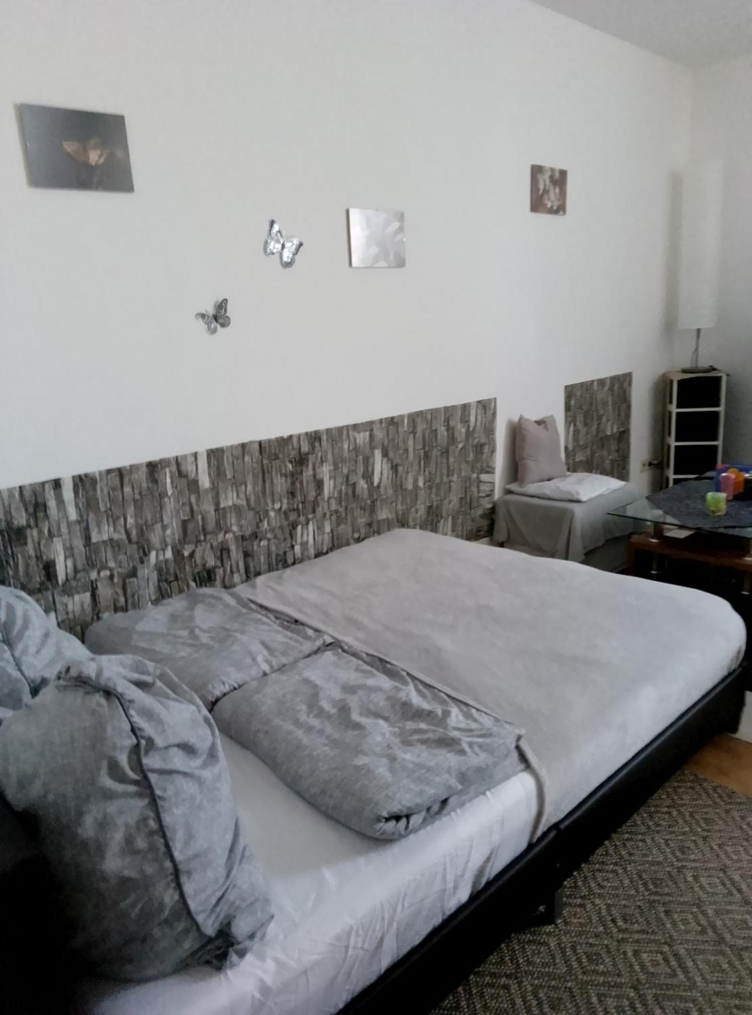 Studiowohnung, Neu Renoviert, Zentrale Lage ザールルイ エクステリア 写真