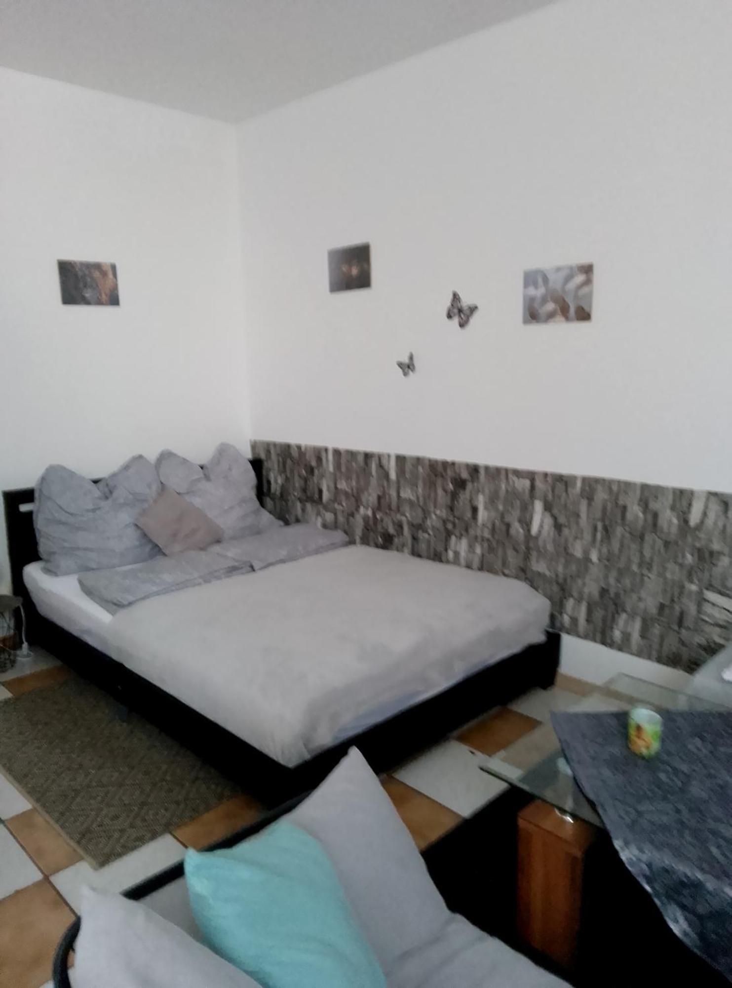 Studiowohnung, Neu Renoviert, Zentrale Lage ザールルイ エクステリア 写真